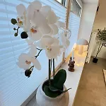 W&d Living-kunstvoll-gespannparkplatz & Terrasse Apartmán