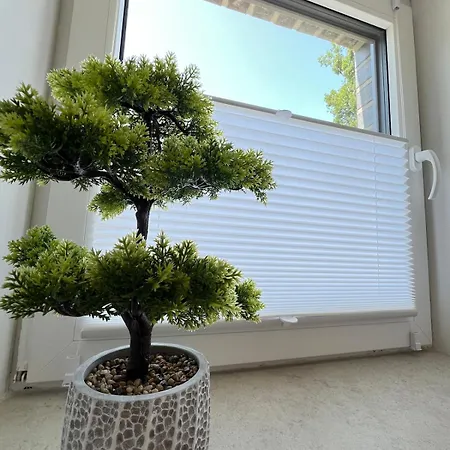 W&d Living-kunstvoll-gespannparkplatz & Terrasse Lejlighed Celle